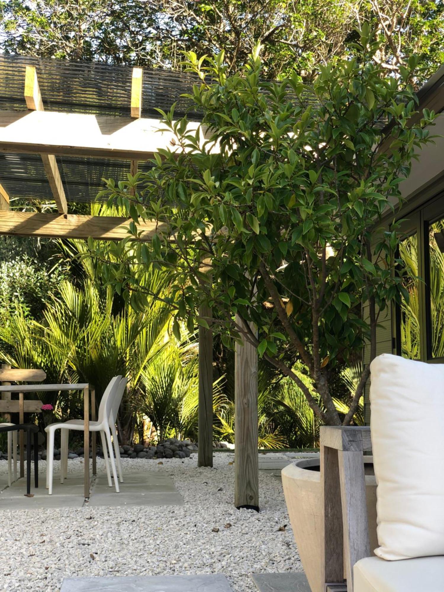 Villetta - Matakana Boutique Luxury Accommodation Bagian luar foto