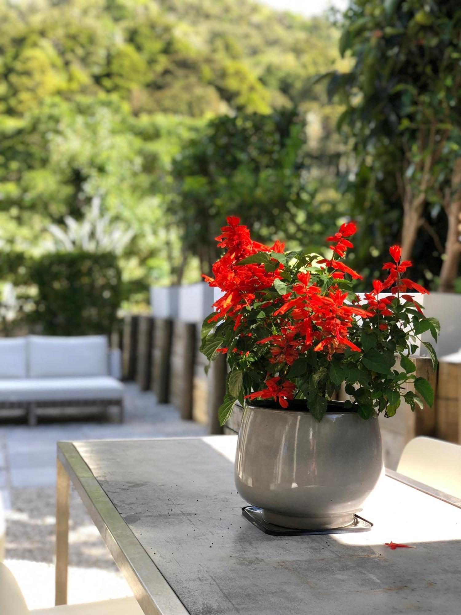 Villetta - Matakana Boutique Luxury Accommodation Bagian luar foto